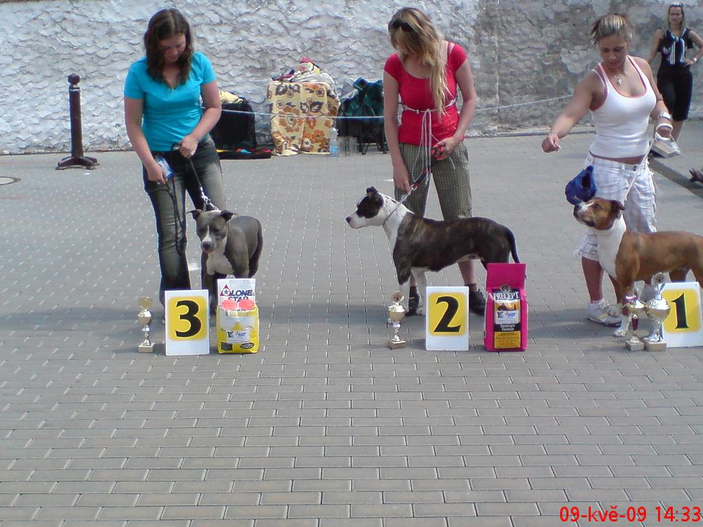 Kopie - DSC02364.JPG