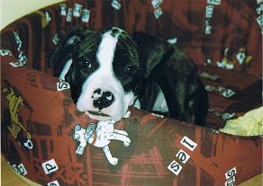26-leden-2007-122.jpg