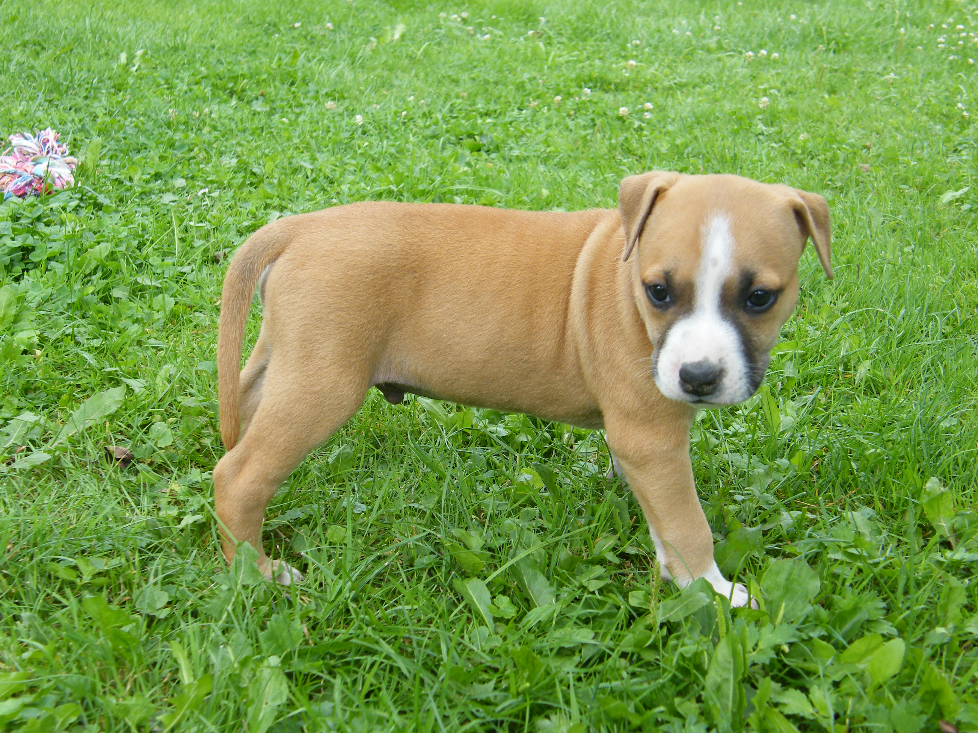 DSCF9474.JPG