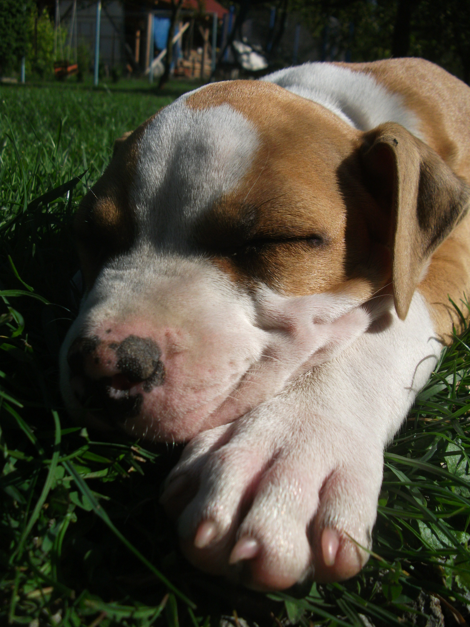 DSCF6793.JPG