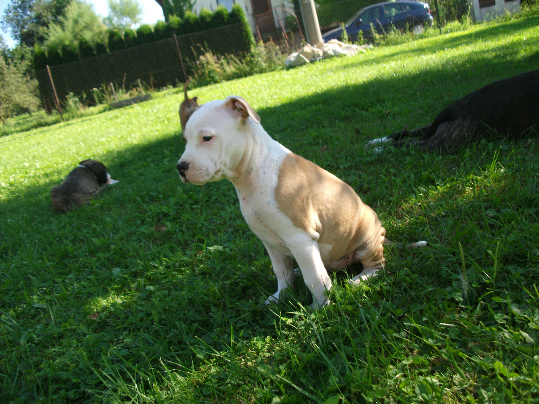 DSCF6849.JPG