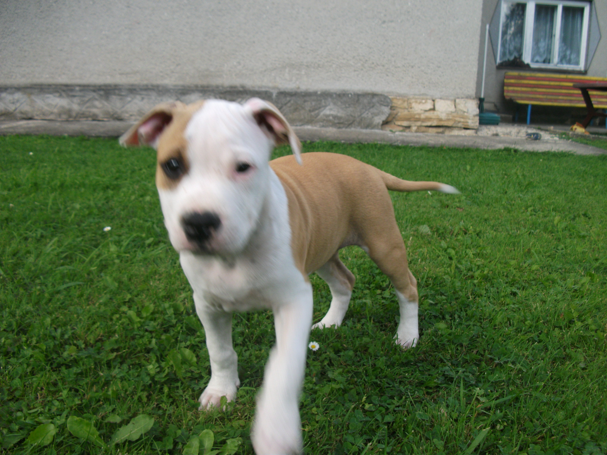 DSCF7208.JPG