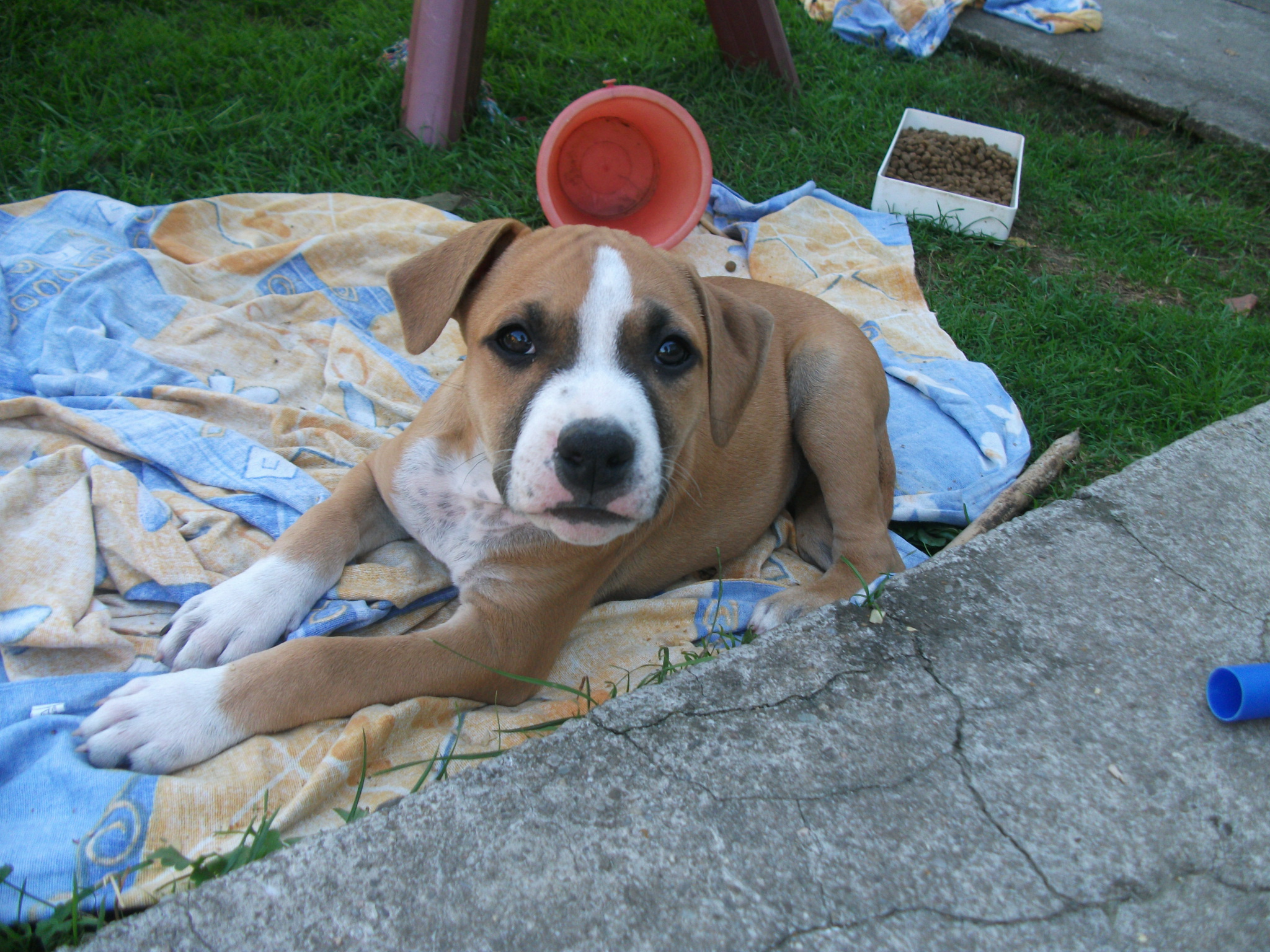 DSCF7014.JPG